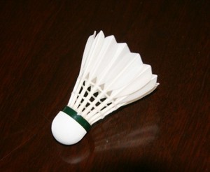 Volant de badminton professionnel de tournoi international BWF LIBOTAI 2021, plume de canard blanche, 4,8 g - Product Image 2
