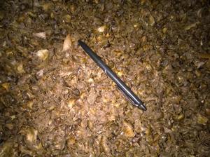 De residuos de ensilaje - Product Image 2