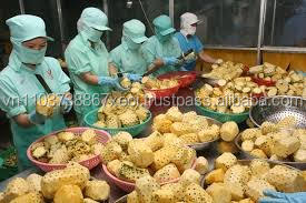 ANANAS DE QUALITÉ SUPÉRIEURE EN CONSERVE/ANANAS FRAIS-HAUTE QUALITÉ - Product Image 5