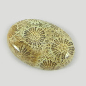 ปะการังธรรมชาติ28X20มม. Cabochon รูปไข่5.62 Gms อัญมณีหลวมสำหรับการทำเครื่องประดับ - Product Image 2