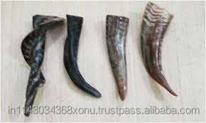 Cuerno de oveja pulido de la mejor calidad 100%, color natural, ecológico, duradero, cuerno decorativo para el hogar en venta de Crafts Galore - Product Image 2