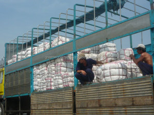 Penjualan Laris Rumput Laut EUCHEUMA COTTONII Kering dengan Kualitas Tinggi dan Harga Terbaik