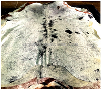 Tapis unisexe en cuir de vache, accessoire naturelle du sud du brésil, meilleure qualité du monde