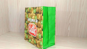 Bolsas de Compra Reutilizables de Polipropileno Tejido de la Marca EVERGREEN, Reciclables, con Asas de Mano, Tamaño Personalizado, Certificación ISO9001, Fábrica en Vietnam - Product Image 1