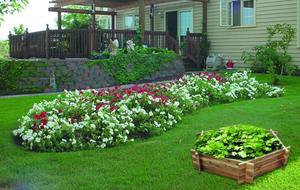 Nuevo Jardinera Elevada Moderna de Madera de Acacia, el Mejor Precio de Vietnam para Invernadero de Jardín, Fácil de Montar, Ecológica - Product Image 2