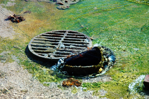 Enzima bacteriana para drenajes y sistemas sépticos no tratados - Product Image 4