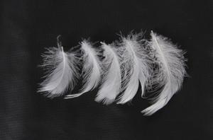 Hot White Duck <b>Feather</b> From Vietnam Washed Pattern Best Price for Export - Product Image 3