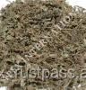 Whole <b>Plant</b> Bacopa Monnieri Bacopa Bramhi <b>DRIED</b> <b>PLANT</b> - Product Image 3