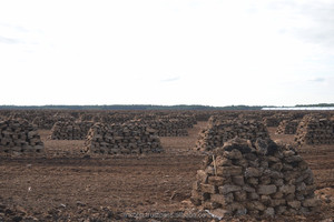 Musgo de Turba Rubio - PEATMAN - Product Image 2