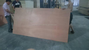 Contreplaqués commerciaux de haute qualité E2 à faible émission de formaldéhyde, 9 plis, pour le marché coréen - Product Image 1