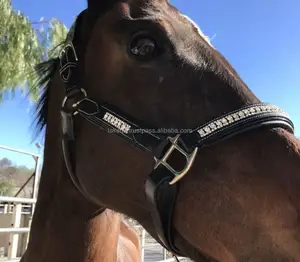 Premium Crystal Bling Horse Leather Halter Textiles y productos de cuero Premium - Product Image 1