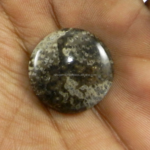 Pierre précieuse naturelle en bois de palmier, jaspe, cabochon rond de 23 mm, pour bijoux - Product Image 3