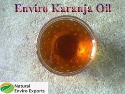 น้ำมันคารานจาสกัดด้วยวิธีสกัดเย็นใช้สำหรับไบโอดีเซลชีวภาพและสารกำจัดศัตรูพืชอินทรีย์ในการเกษตร - Product Image 6