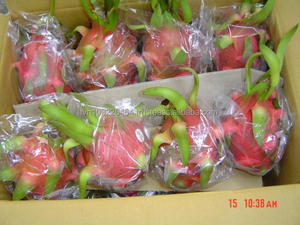 Vietnam Verse Dragon Fruit Pitaya Groothandel Voor Rood/Wit Dragon Fruit Hoge Kwaliteit Bevroren Pitaya Uit Vietnam Beste Prijs