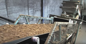 Moss-PEATMAN Natural de turba Báltica, Natural - Product Image 5