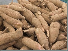 BEST <strong>CASSAVA</strong> for FARM - Product Image 3