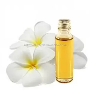 100% reines hochwertiges ätherisches Frangipani-Öl Hochwertiger Aromatherapie-Diffusor