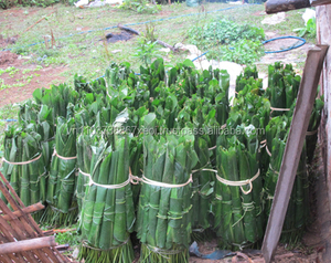 ดงสดคุณภาพสูงและ2020ถูกที่สุด - Product Image 5