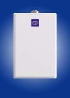 Chauffe-eau au gaz en acier grande capacité 33L/min GPL/Gaz naturel 220V 50Hz Température constante Utilisation extérieure domestique