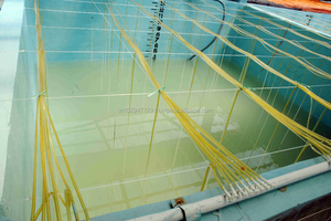 Additifs alimentaires optimaux pour pisciculture Poudre de probiotiques de poisson de qualité animale Enzyme naturelle Conservateurs de vitamines Additifs maximaux - Product Image 4