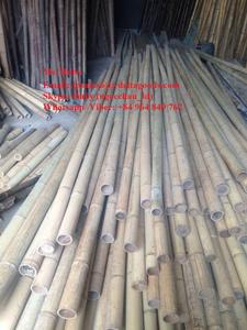 ไม้ไผ่สำหรับสวนและตกแต่งบ้าน-คุณภาพสูงจากเวียดนาม - Product Image 2