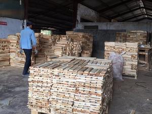 High Quality Acacia Sawn <b>Timber</b> Can Be Customized Size Ready to Export - Product Image 5