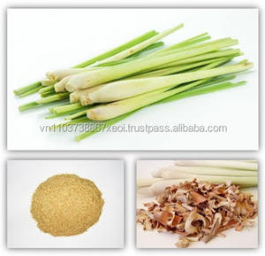 POLVO DE JENGIBRE DE LIMÓN para ALIMENTOS - ALTA CALIDAD DE VIETNAM - Product Image 2