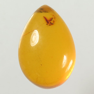 Gema de Ámbar Báltico Natural Ovalada Tipo Cabujón, Color Butterscotch, con Tamaño Personalizado y Calidad AAA - Product Image 3