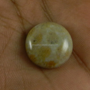 หินปะการังธรรมชาติ17มม. 2.57ออนซ์ของอินเดีย,พลอยทรงหลวม Cabochon ทรงกลมสำหรับทำเครื่องประดับ - Product Image 3