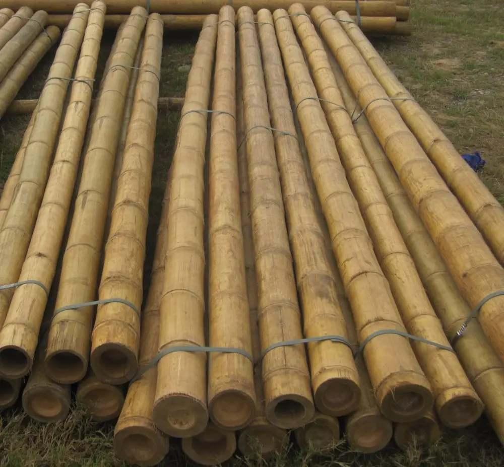 Твердые бамбуковые стойки разных размеров для поддержки дерева