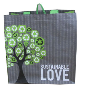 PP dệt phim hoạt hình Tote Túi tùy chỉnh logo in tùy chỉnh màu tái sử dụng Kích thước trung bình - Product Image 2