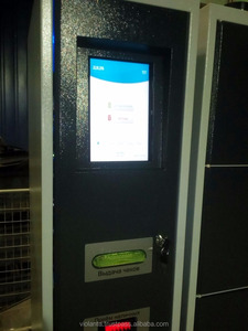 Sistema de casillero electrónico inteligente de acero para almacenamiento de equipos Casillero inteligente a la venta - Product Image 6