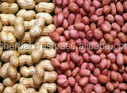 Arachides séchées brutes de qualité A certifiées SGS CHIRONTON TRADING CO 50 KG Emballage PP BD - Product Image 3