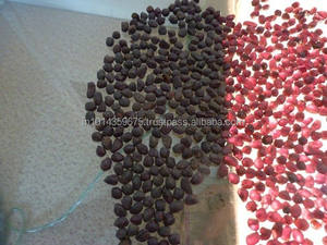 Rodolita Natural sin cortar, rodolita, granate morado, piedra, color púrpura, joyería - Product Image 6