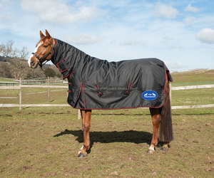 Tapis de cheval de participation léger d'hiver imperméable équestre 600D 100g smart - Product Image 2