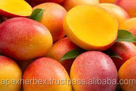 Bubuk Mangga Bubur Buah Mangga - Product Image 4