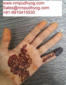 Lab Tested Grade Lawsonia Inermis <strong>Henna</strong> <strong>Designs</strong> <strong>Book</strong> Paper &amp; Paperboard IN;27243 Nayab Orgnic B786716 Herbal Powder 100 - Product Image 4