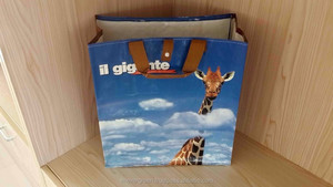 Bolsas de Compra Reutilizables de Polipropileno Tejido de la Marca EVERGREEN, Reciclables, con Asas de Longitud de Mano, Tamaño Personalizado, Fábrica de Vietnam - Product Image 3