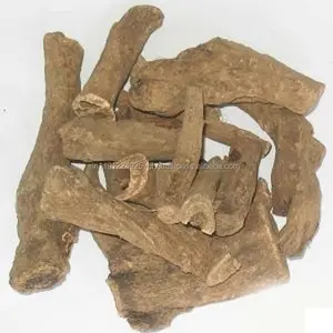 100% Pure High Quality Costus Root Essential Oil