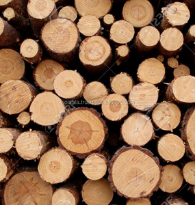 RUSSIAN Timber Log / Sawlogs /Wood round logs / lumber /PINE / SPRUCE / LARCH / BIRCH