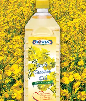 REFINED RAPESEED CANOLA OIL