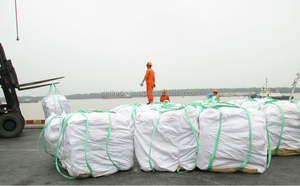 Bolsa de 50 kg de Cemento Portland - Product Image 2