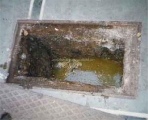 Eco friendly Septic tank and Drain field cleaning additive - Product Image 3