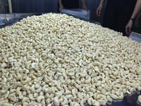 HANFIMEX gedroogde cashewnoten WW240 TOPKWALITEIT voor groothandel Kathryn 0084327324400