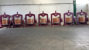 Nueva máquina exprimidora de uva de hielo hidráulica de alta calidad, deshidratador y extractor eléctrico de alimentos de 500kg para frutas y verduras - Product Image 4