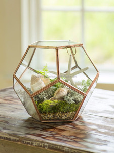 Terrario geométrico de vidrio dorado, maceta de decoración moderna para plantas de aire de helecho suculentas, balcón - Product Image 2