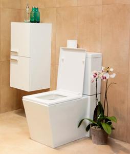 Round <strong>Adam</strong> 2-Piece Toilet - Product Image 2