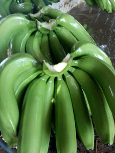 Banane japonaise japonaise fraîche, couleur verte, origine Vietnam - Product Image 2