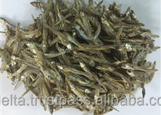 Anchoa seca con cabeza o sin cabeza, el mejor precio - Product Image 6