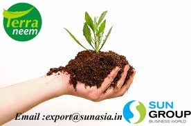 Polvo de Neem orgánico Terra, extracto de residuos de núcleo de neem por método prensado en frío utilizado en plantas y granjas como fertilizante - Product Image 5